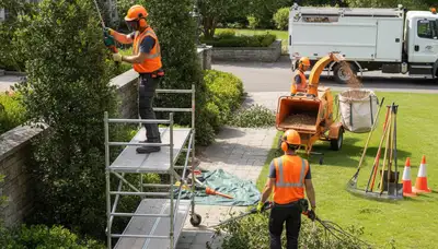 Shrub removal service in Wellesley, MA, clearing overgrown shrubs for a clean landscape