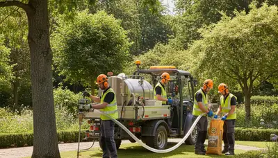 Tree fertilizing service in Wellesley, MA to help trees grow healthier and stronger