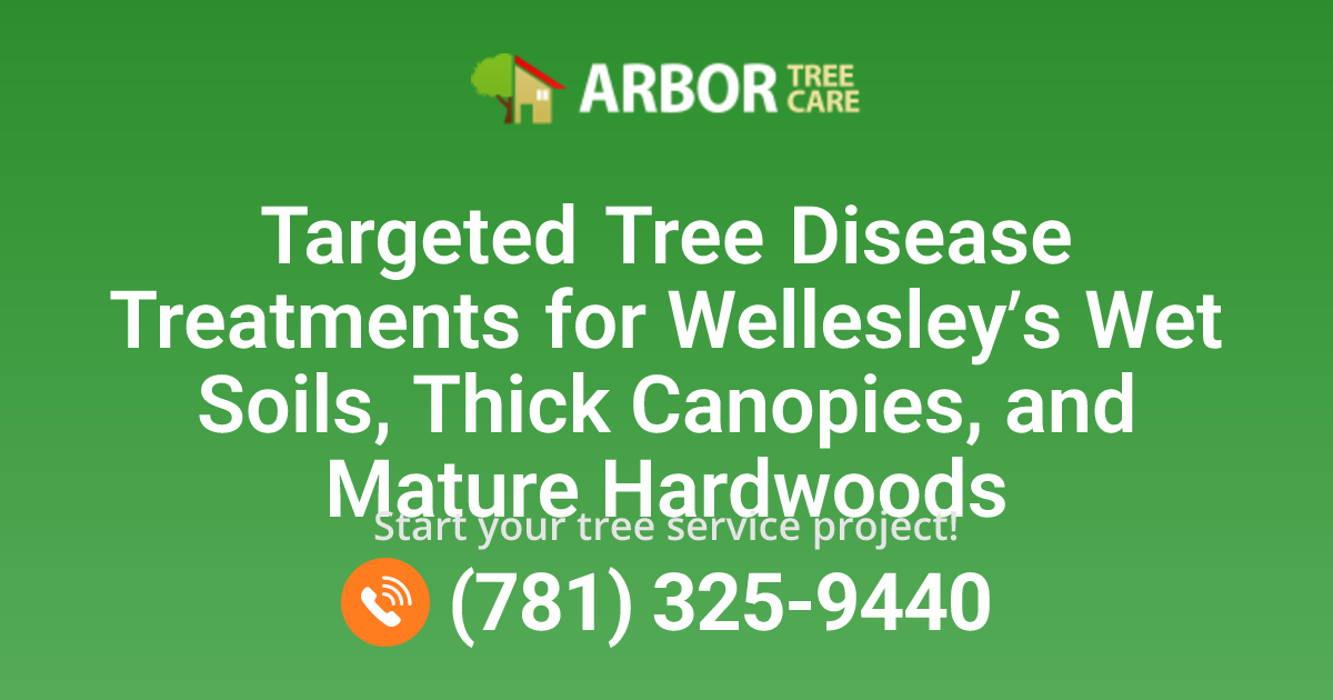 Tree Disease Treatments in Wellesley, MA | Arbor Tree Care